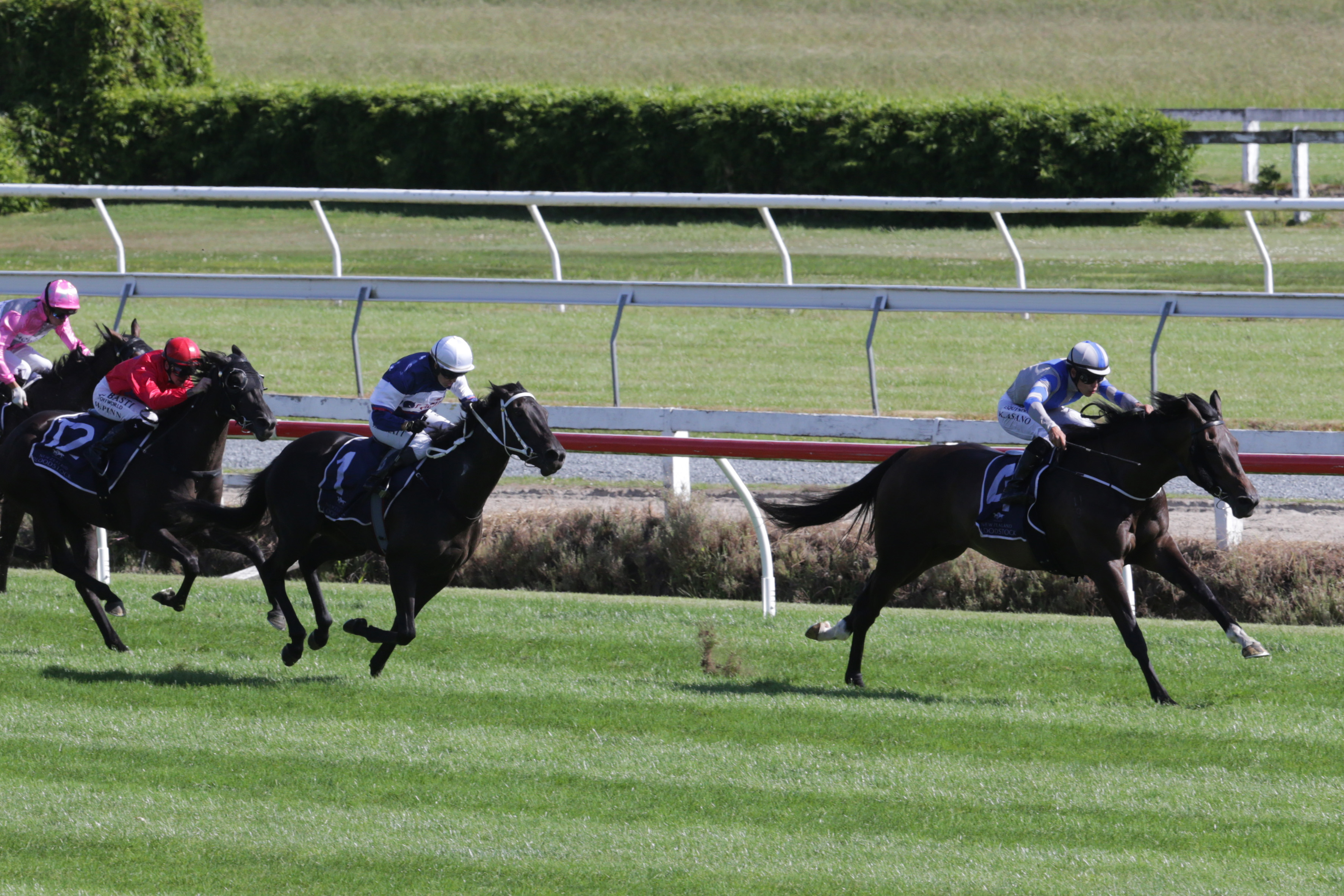 Filly Racioppo Full Field of Fillies Chases Oaks Glory | New Zealand Bloodstock ...