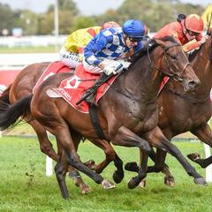 Won Won Too winning the Listed Galilee Series Final. Photo: Melbourne Racing Club
