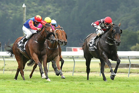 Adventador (NZ) wins the Rush Munro's Spring Carnival Sprint at Hastings.. Photo Credit: NZ Racing Images.