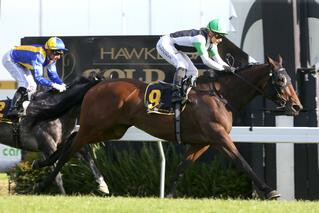 Chenille (NZ) claims the win in the Hawke's Bay Gold Cup. Photo Credit: Trish Dunell.
