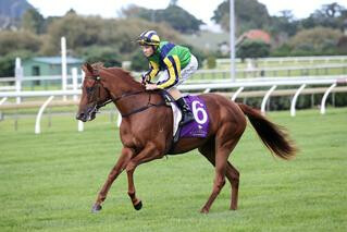 Eleonora will contest the NZB Ethereal Stakes. Photo credit: Trish Dunell