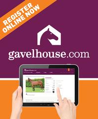 NZB launches auction-based trading platform gavelhouse.com