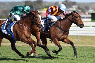 Time For Magic (NZ) wins $50,000 O'Leary's Fillies Stakes
