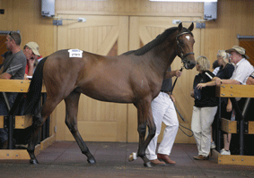 Lot-299