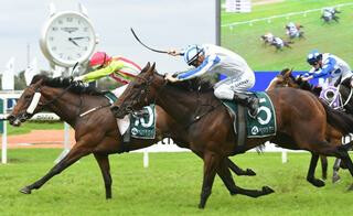 Montoya's Secret and Night Nurse Quinella Group 1 Vinery Stakes. Photo: Equine Images.