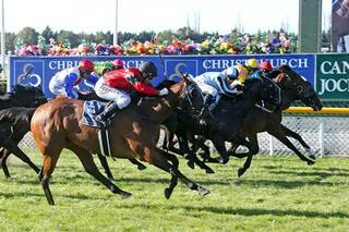 Respin comes out on top in a thrilling four-way photo finish in the NZB Insurance Stakes.