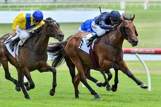Long Leaf kept his unbeaten record intact winning the Listed Merson Cooper Stakes. 