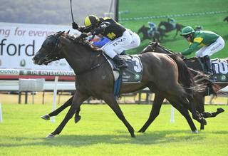 Tinkermosa (NZ) captures G3 Belle of the Turf Stakes. Photo: Steve Hart. 