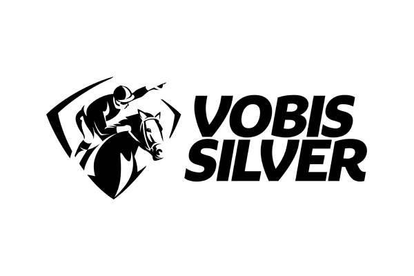 VOBIS Silver